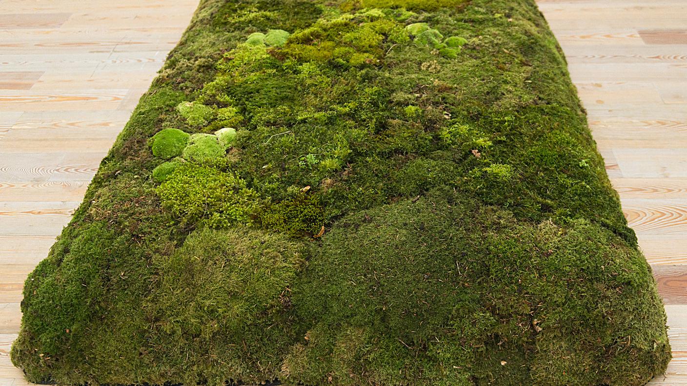 Meg Webster, Moss Bed, Queen, 1986