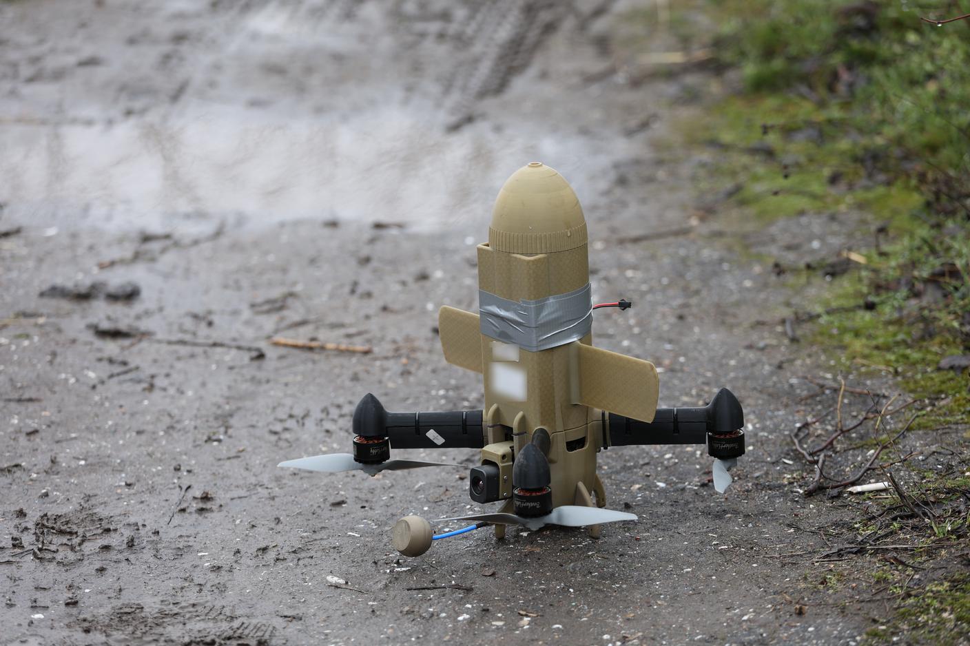 5R4A8681_blur -  Leone.JPG