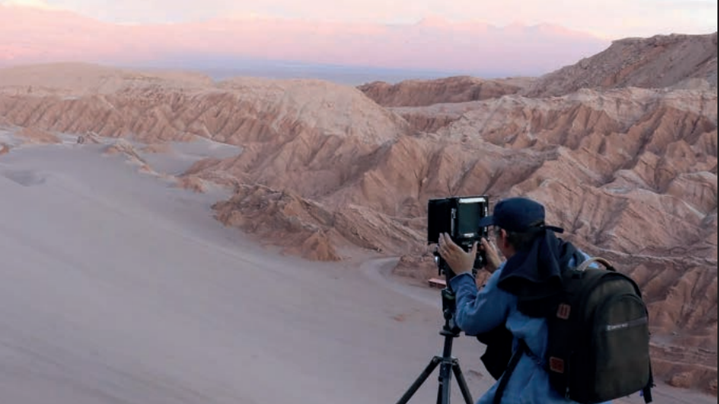 Immagine 2026-03-26 145417.png