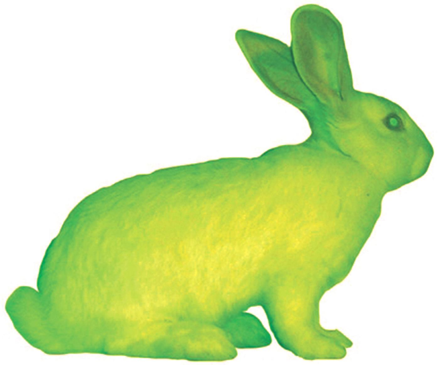 GFP Bunny (2000), Eduardo Kac