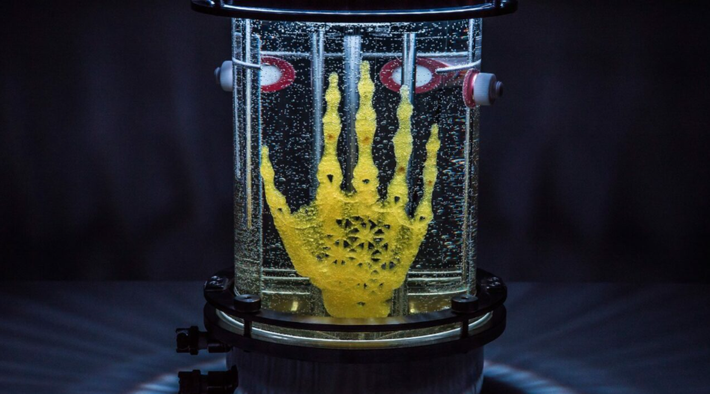 Regenerative Reliquary (2016), Amy Karle