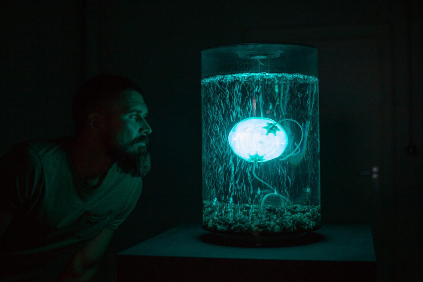 ArchaeaBot, Anna Dumitriu e Alex May. Installazione che unisce microbiologia, robotica e arte tessile per esplorare il ruolo di microrganismi nell’ecosistema e interrogarsi su cosa possa significare “vita” in un futuro post‑cambiamento climatico.
