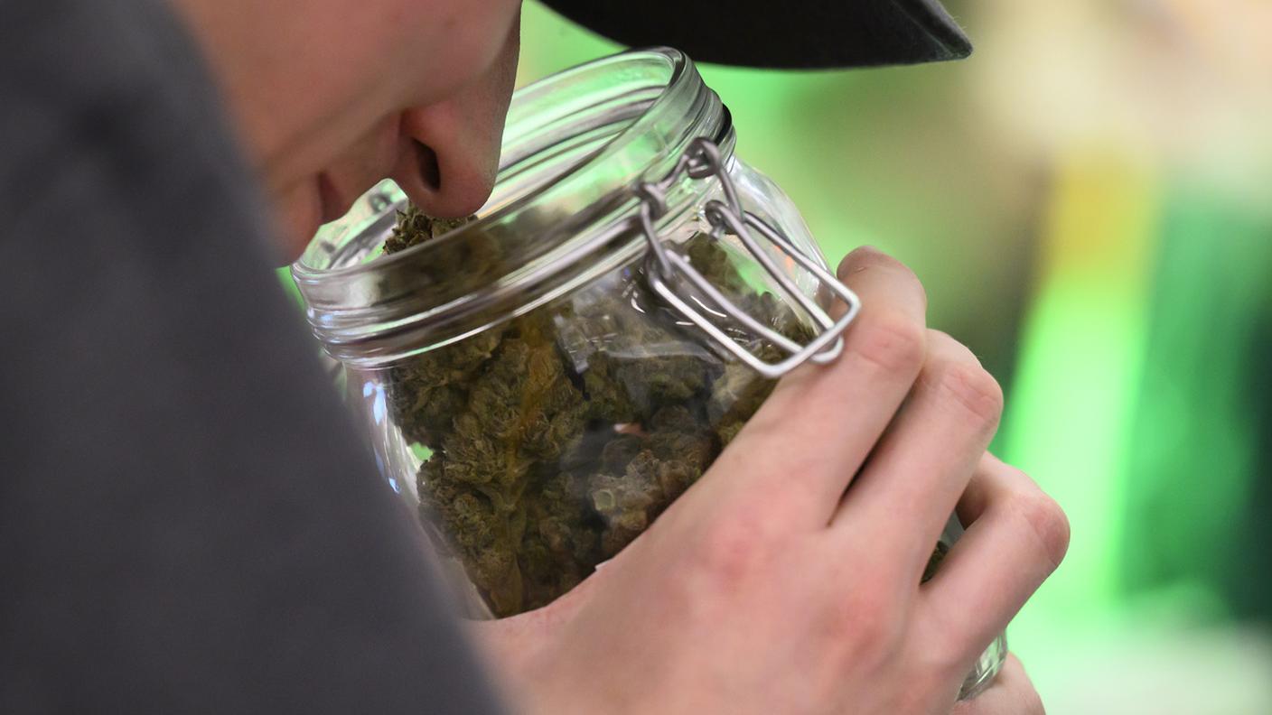 Una fotografia d'archivio scattata al CannaTrade