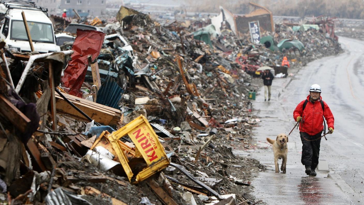 Un soccorritore giapponese cammina con un cane da ricerca tra le macerie nella città devastata dallo tsunami di Rikuzentakata, nella prefettura di Iwate, nel nord-est del Giappone, il 9 aprile 2011.