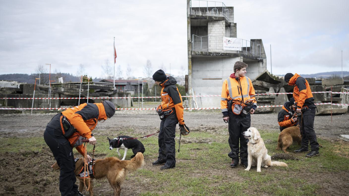 Le conduttrici e i conduttori di cani mostrano il loro lavoro con gli animali nei diversi ambiti delle squadre cinofile della sezione regionale della Svizzera orientale di REDOG, l’Associazione svizzera dei cani da ricerca e soccorso, in una foto scattata sabato 11 marzo 2023 a Frauenfeld.
