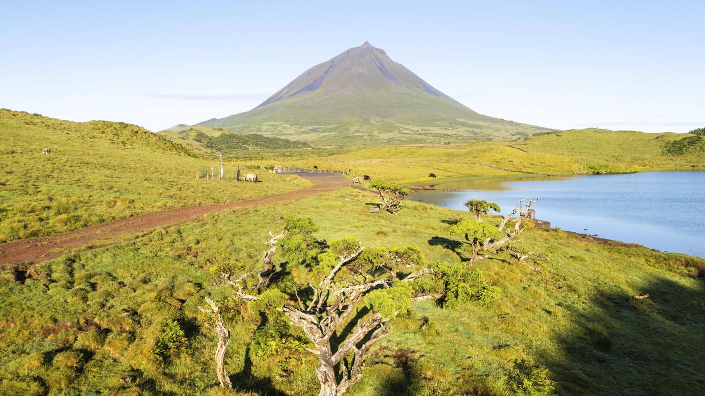 Ilha do Pico, Azzorre