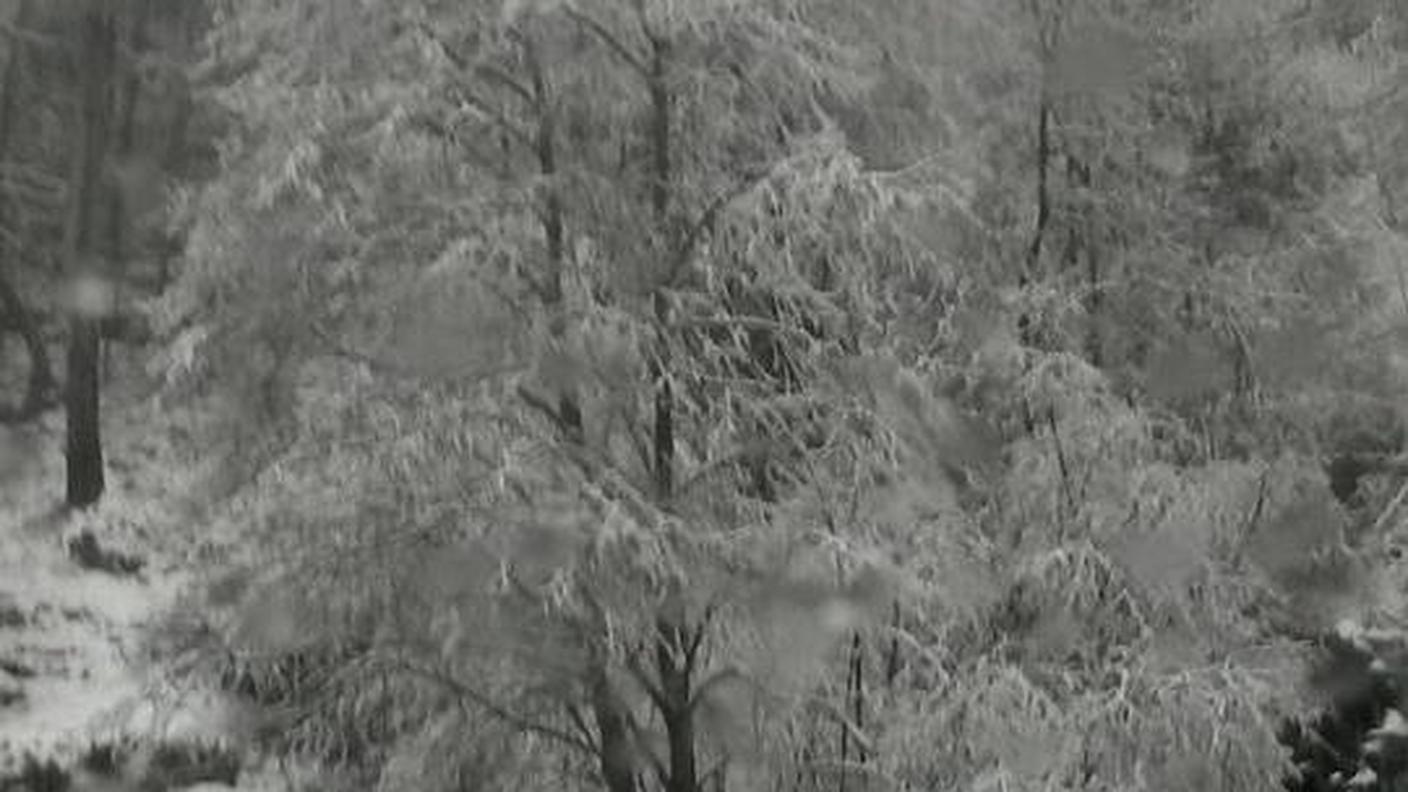 Neve in Valle Onsernone