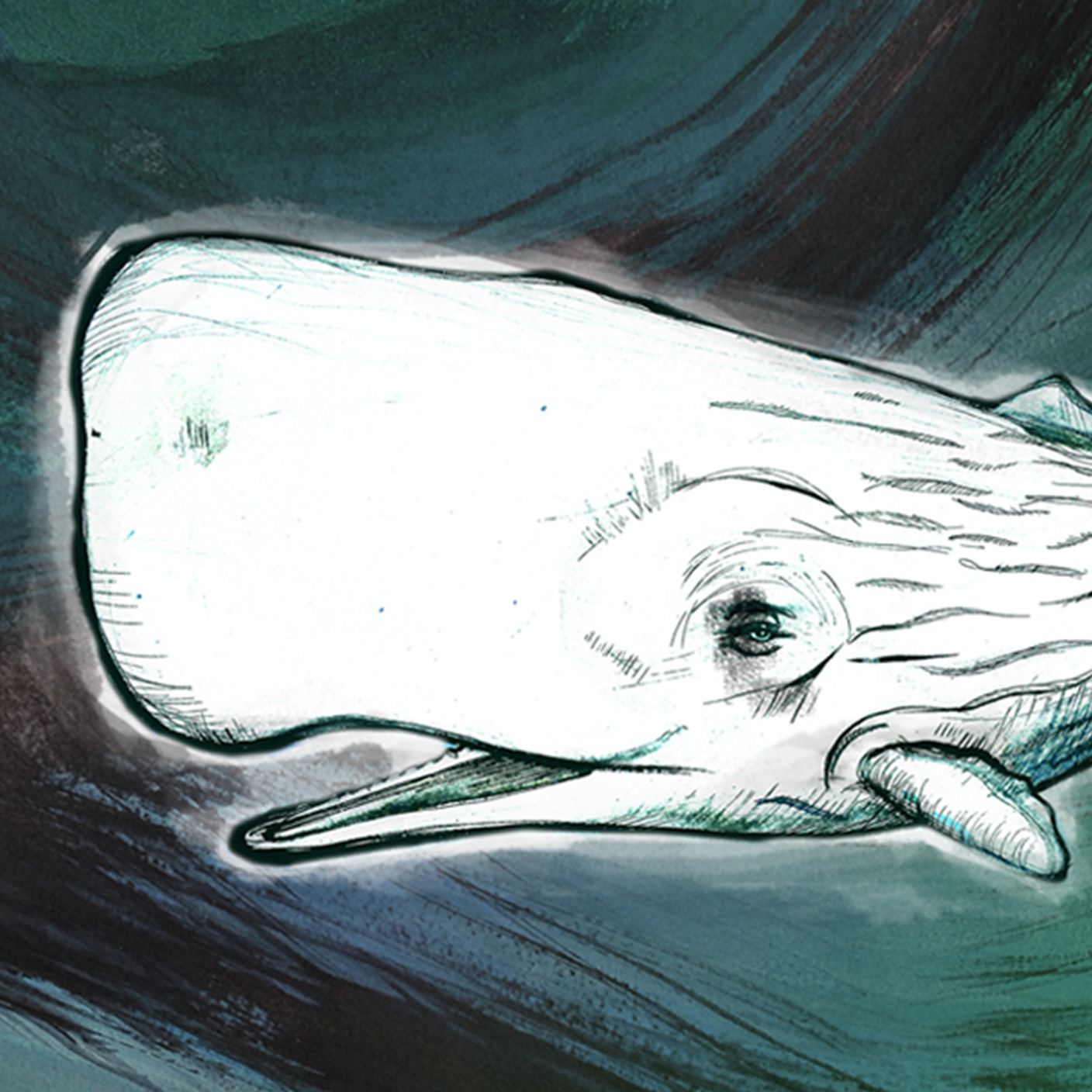 moby_dick-1_1.png