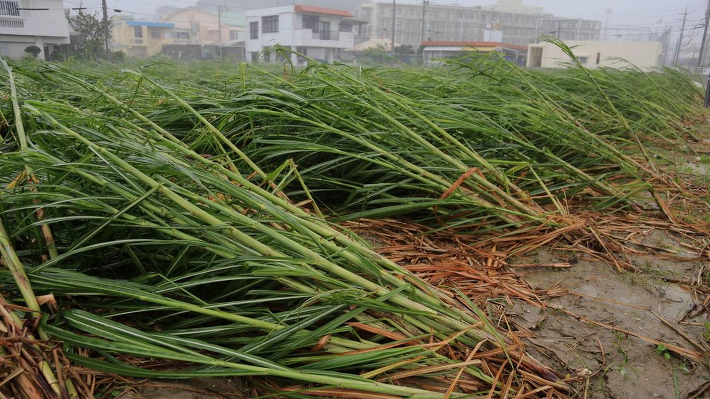 Il tifone Neoguri devasta il Giappone del sud