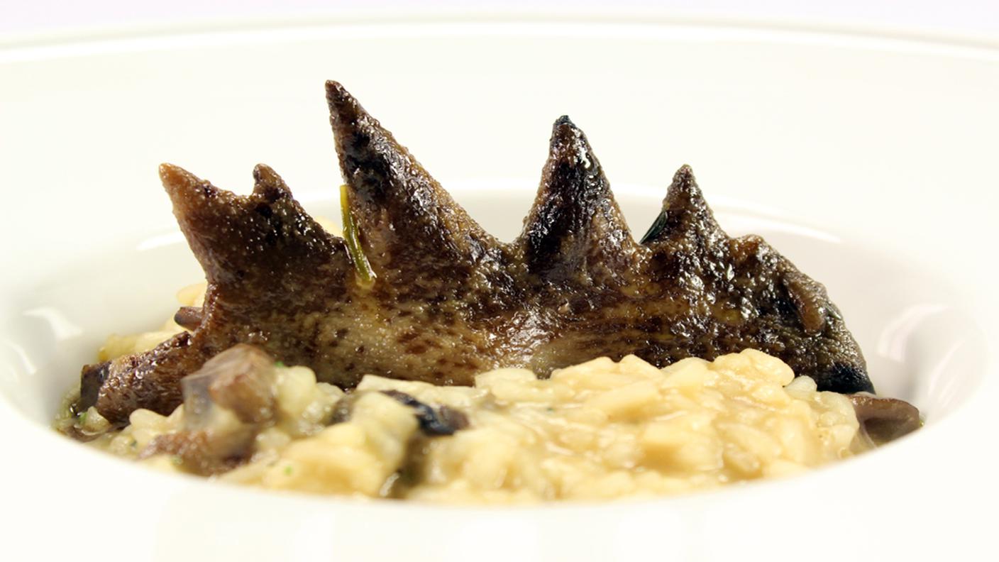 Risotto alle creste di gallo.jpg