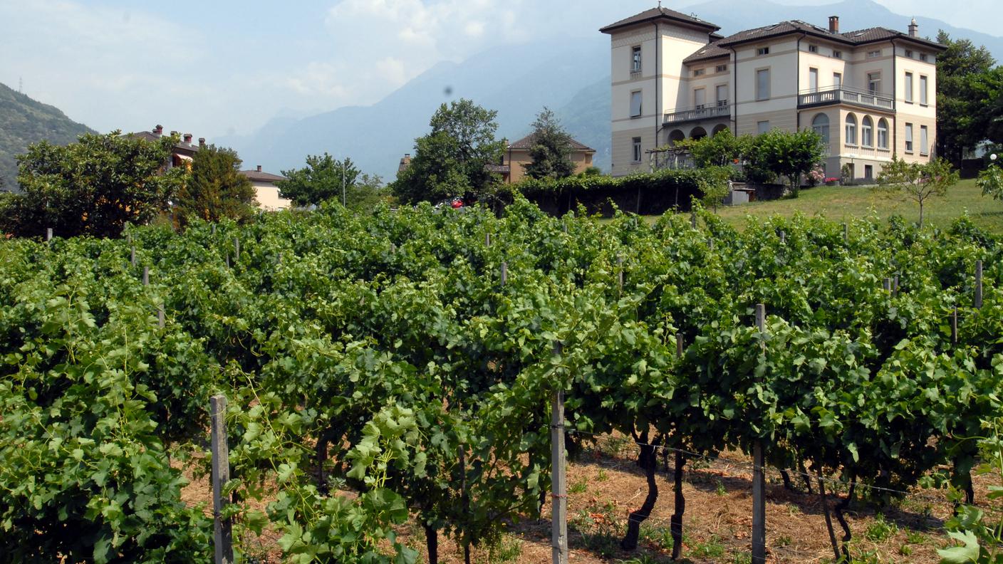 Villa Mariotti Bellinzona TP.jpg