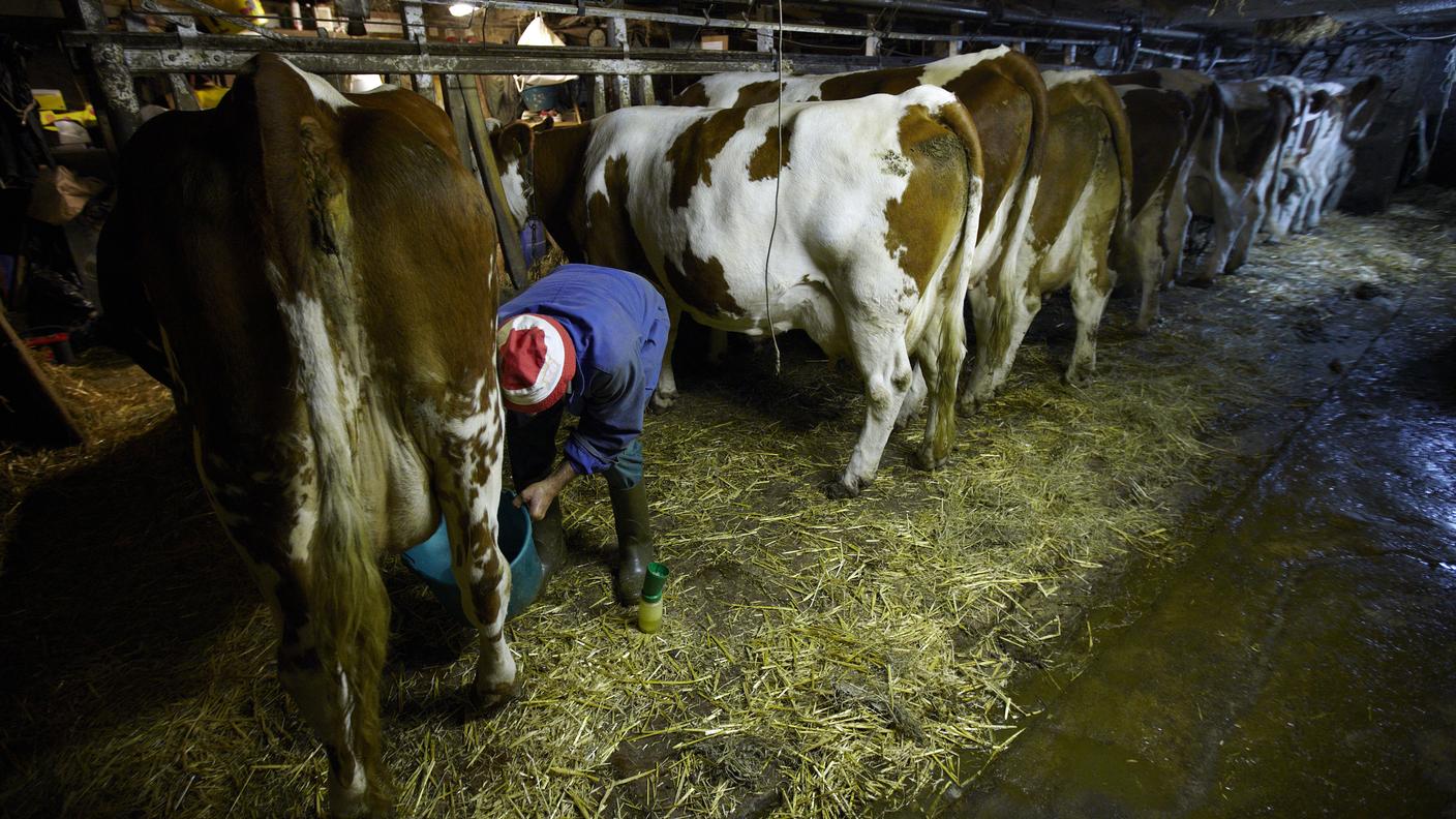 "Devono passare più tempo all'aria aperta" 
