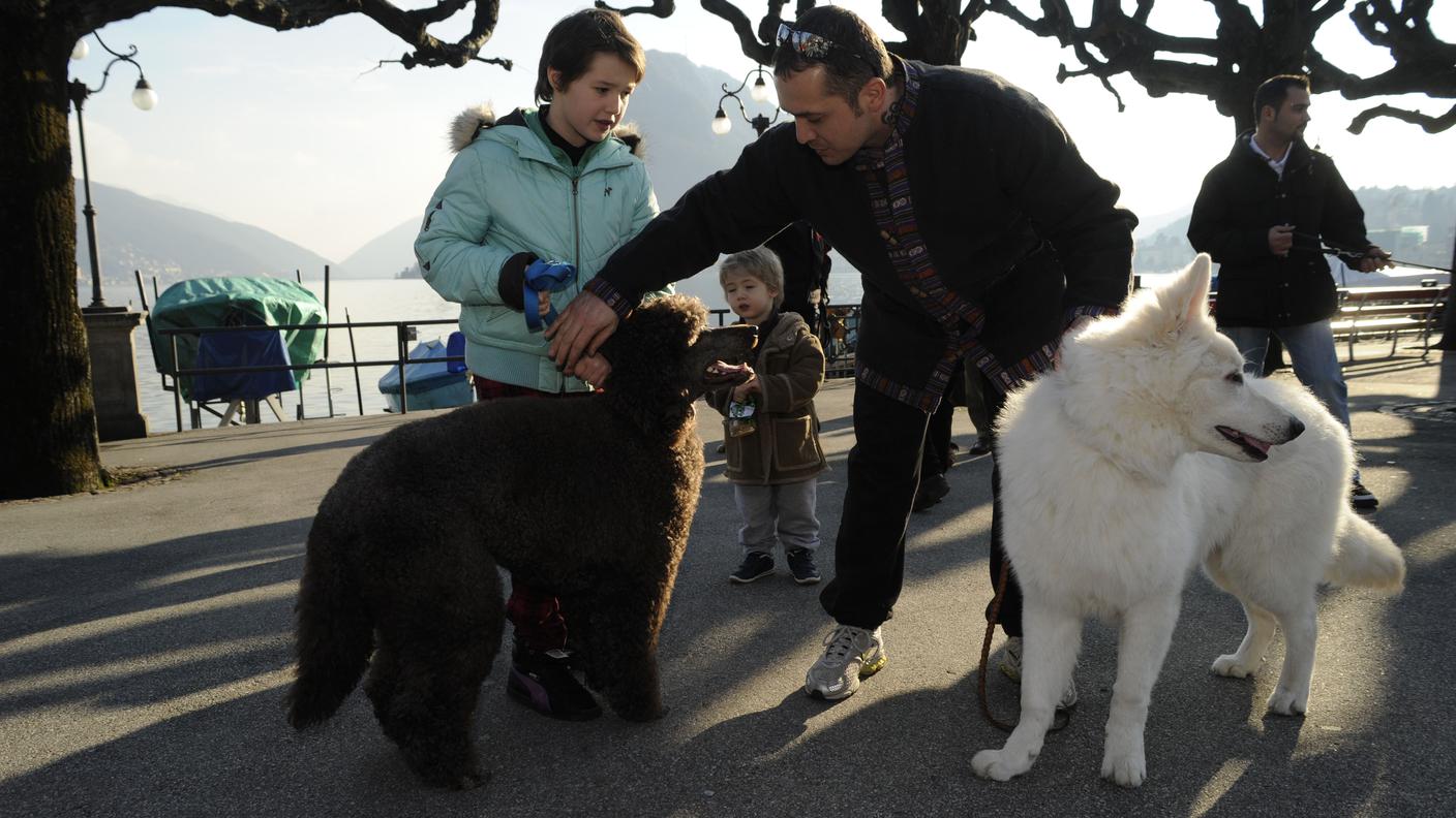 Dog Park a Lugano 07 Tipress.jpg