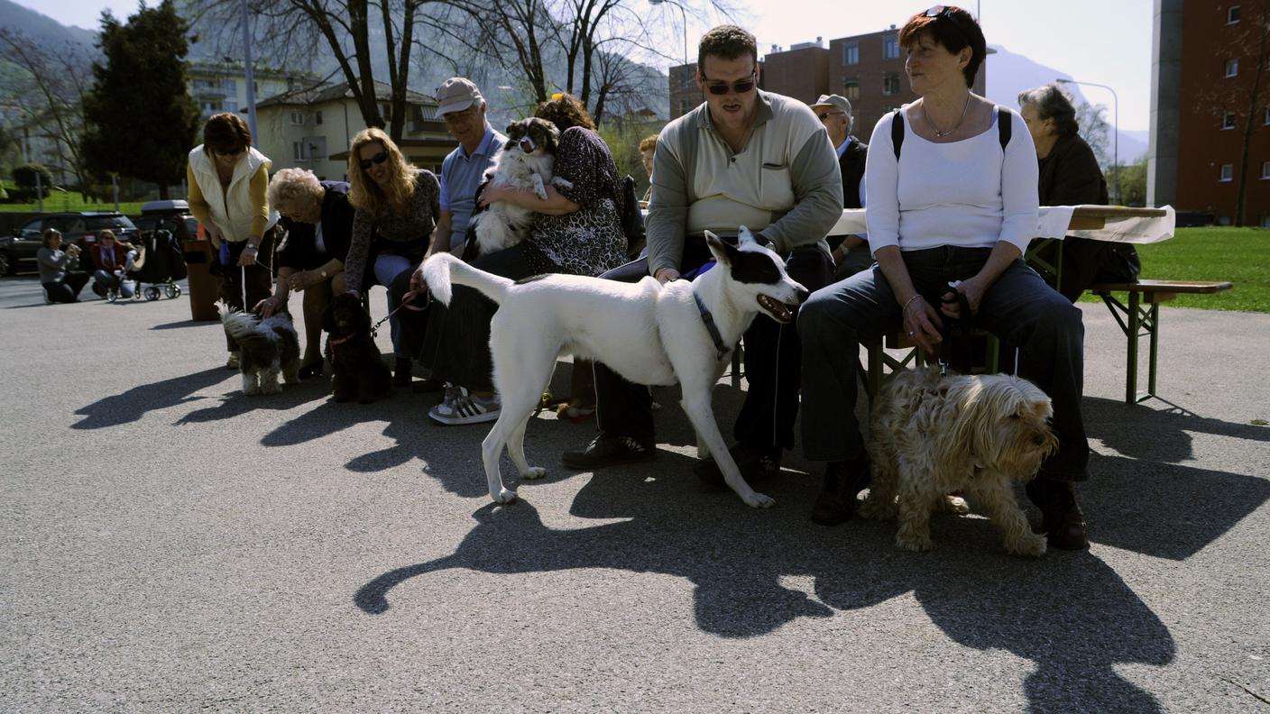 Dog Park a Lugano 09 Tipress.jpg