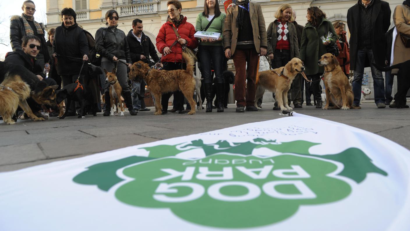 Dog Park a Lugano 11 Tipress.jpg