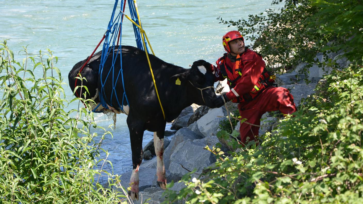 Le operazioni di soccorso