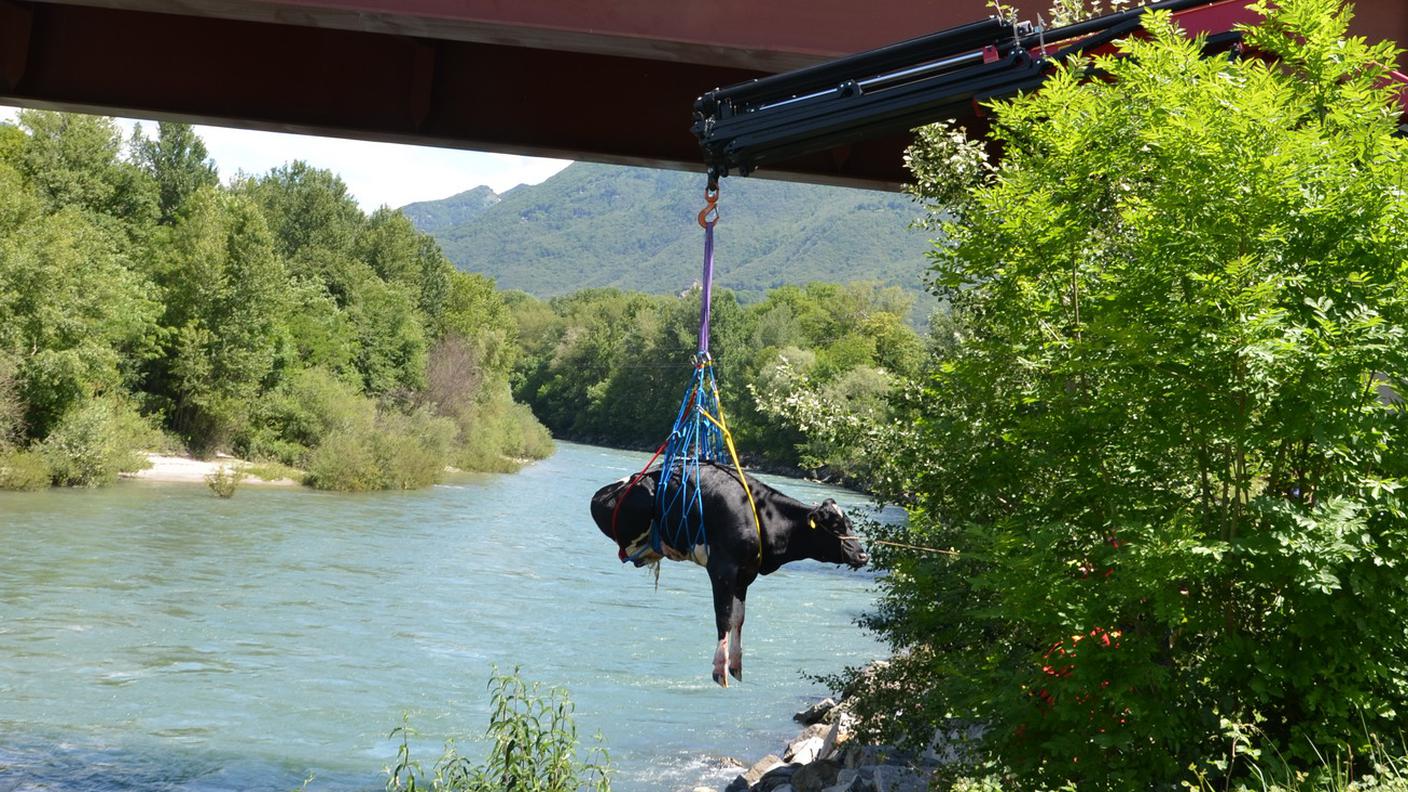 Le operazioni di soccorso