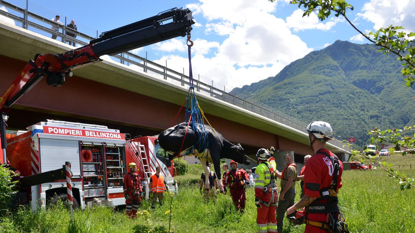 Le operazioni di soccorso