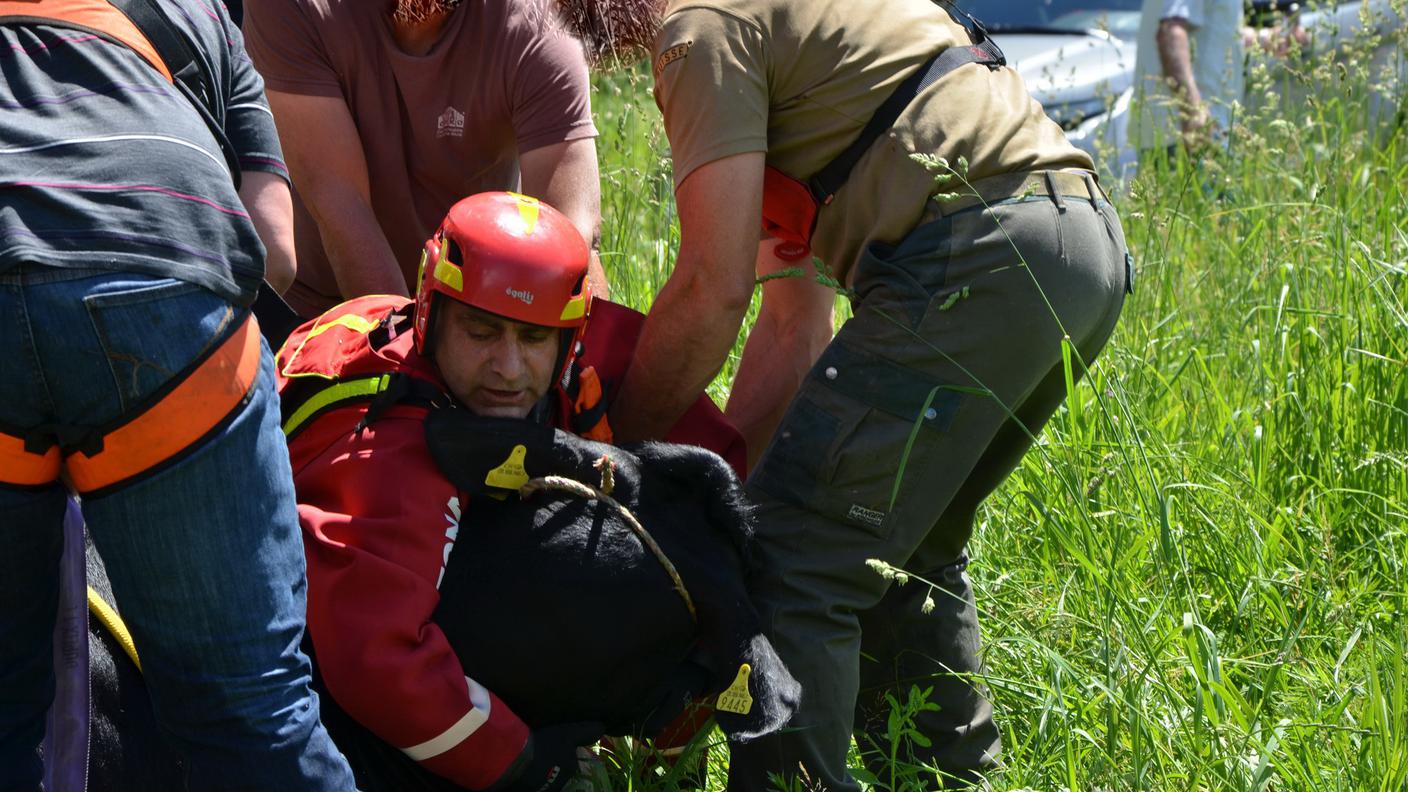 Le operazioni di soccorso