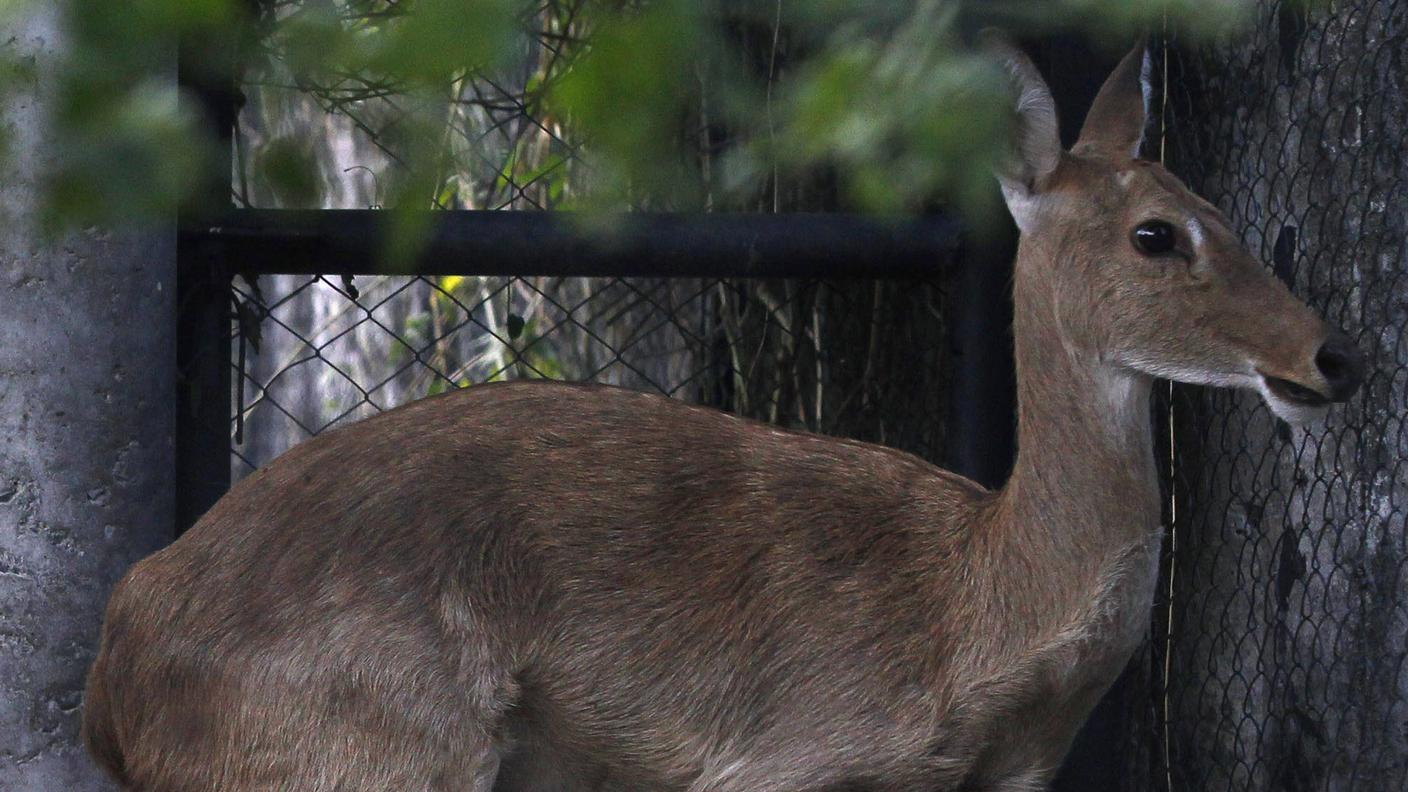 Poi...di nuovo libero in natura