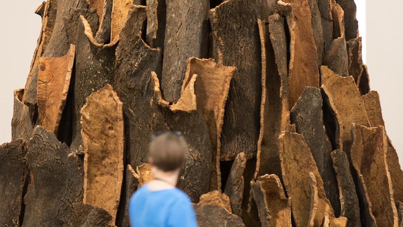 ''Cork Spire'' di David Nash