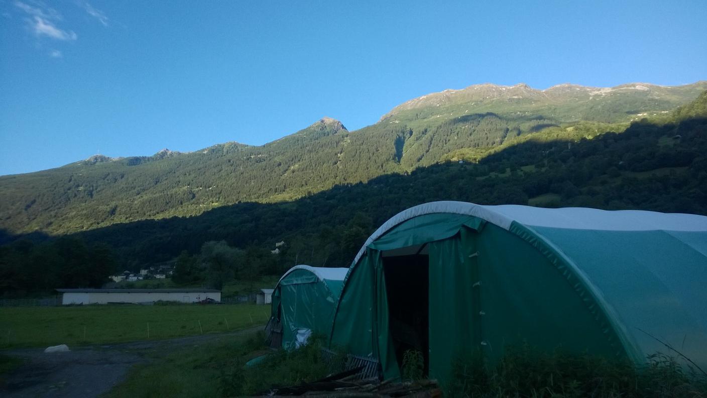 Ordine di demolizione eseguito