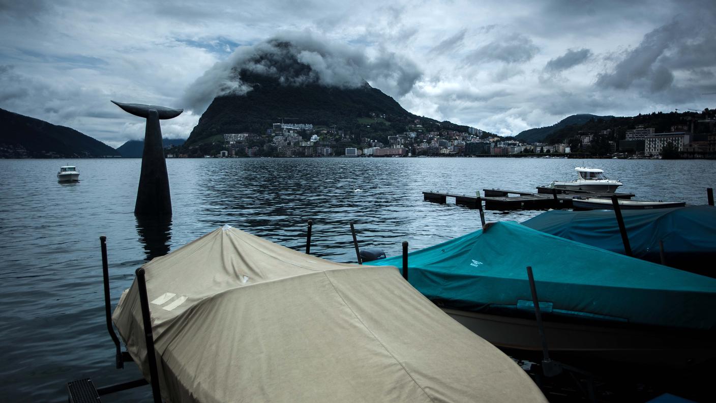 Un cetaceo in Ticino?