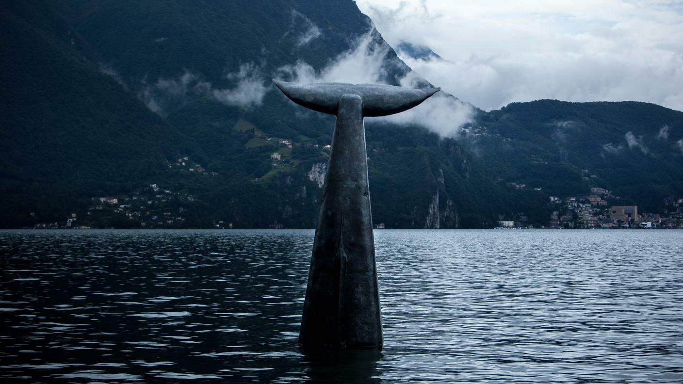 La coda della balena immersa nel lago