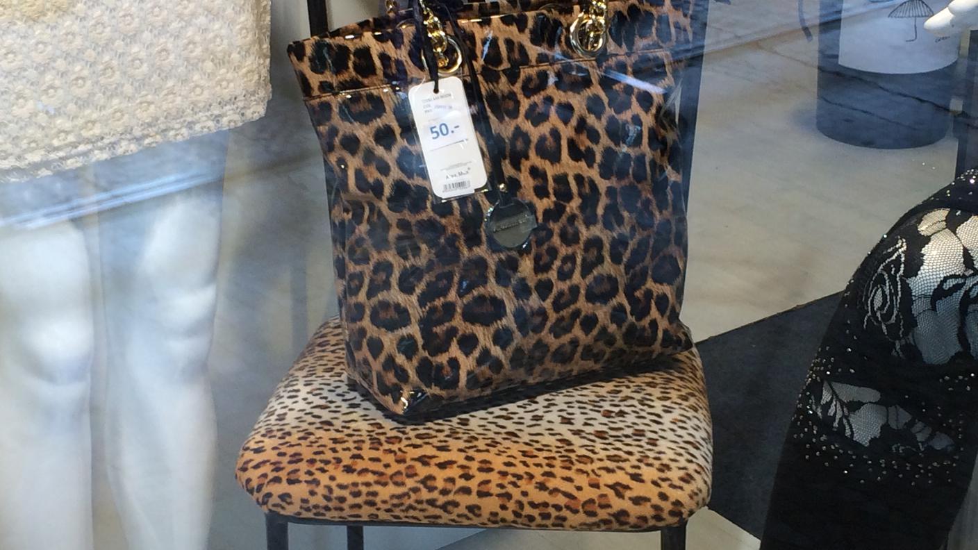 Girando per la città del leopardo