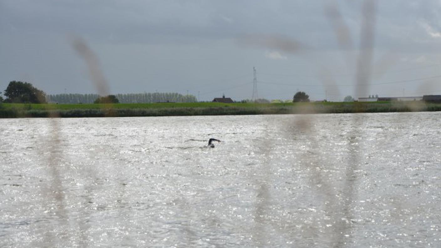 Quarantaquattro giorni nel Reno