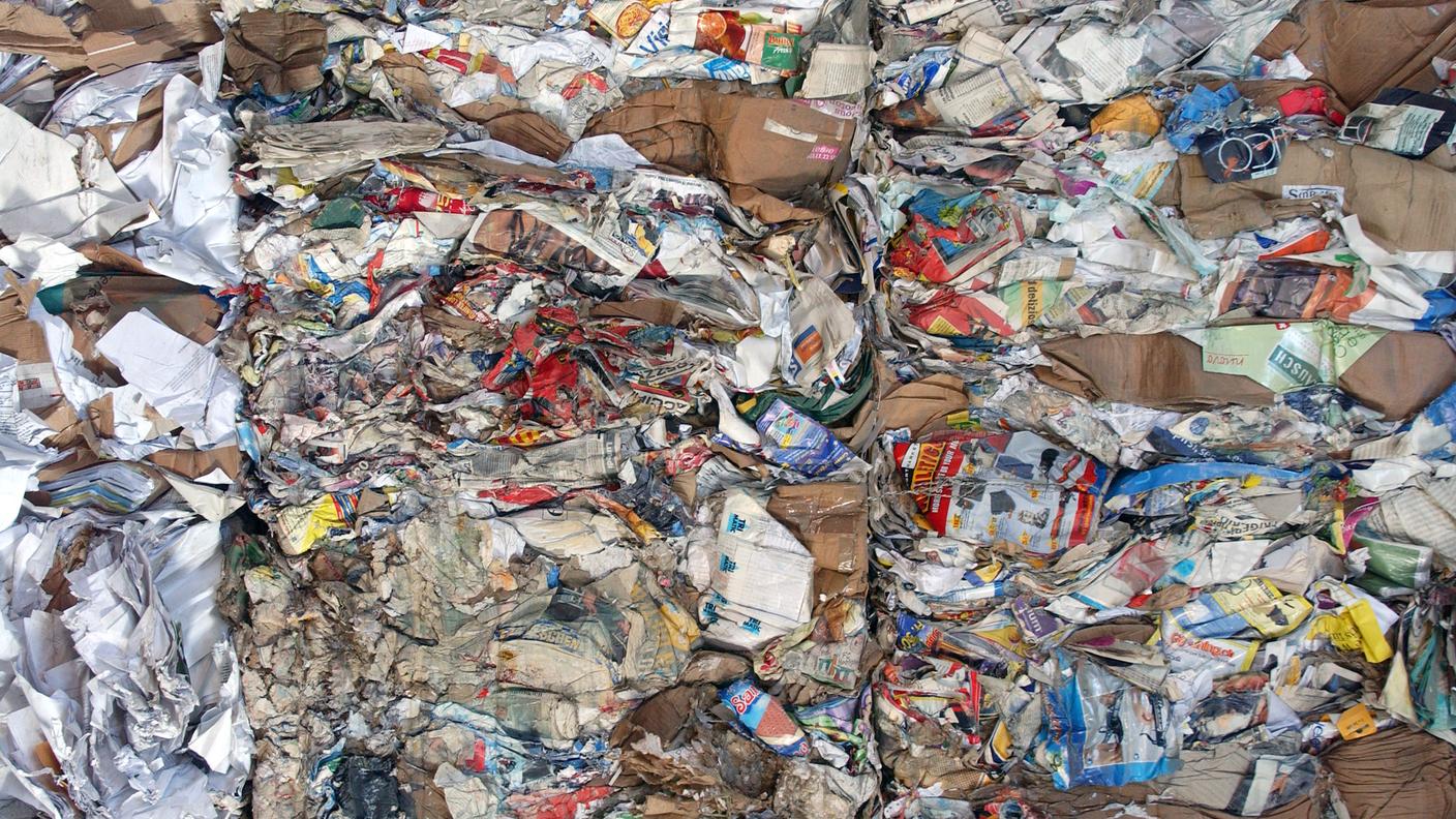 Una figura importante per la protezione dell'ambiente
