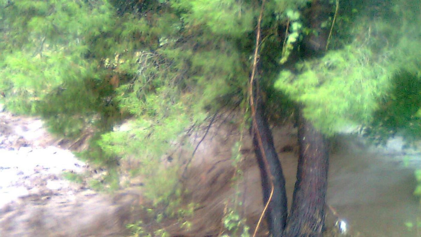 Le immagini dell'alluvione