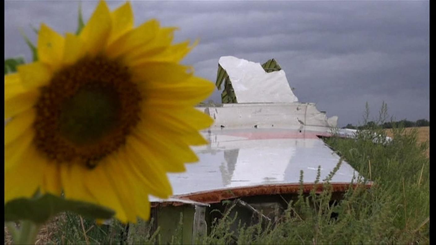 MH17.jpg