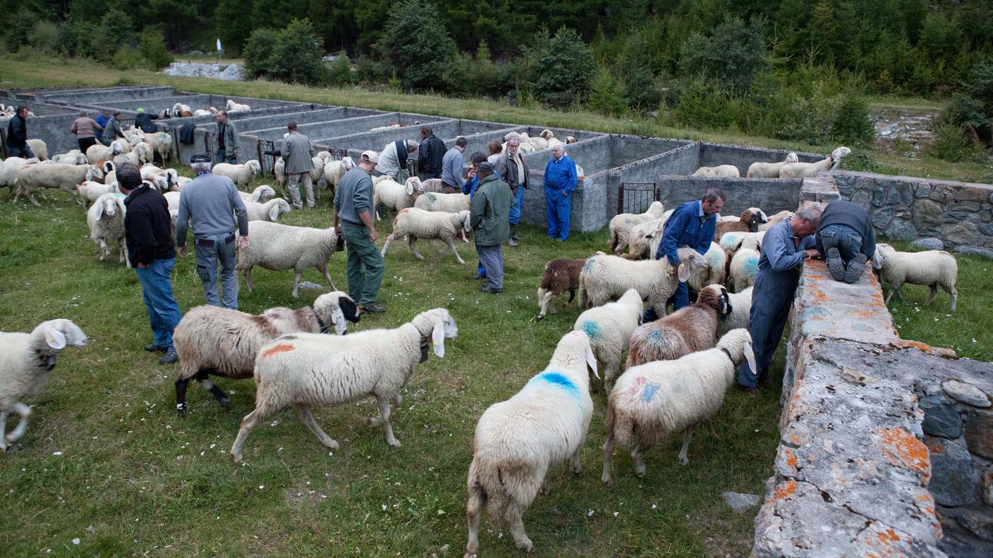 All'arrivo ne mancavano all'appello 103