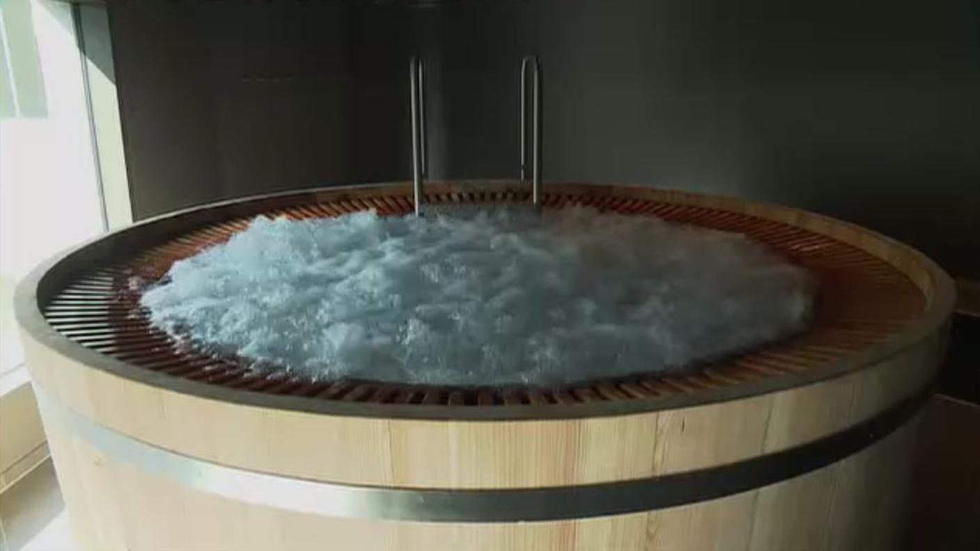 wellness.JPG