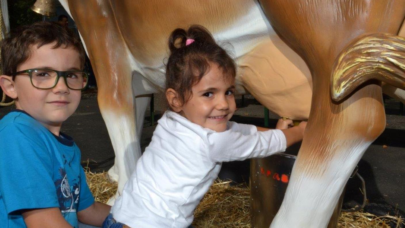 Divertimento assicurato con la mucca Brunella
