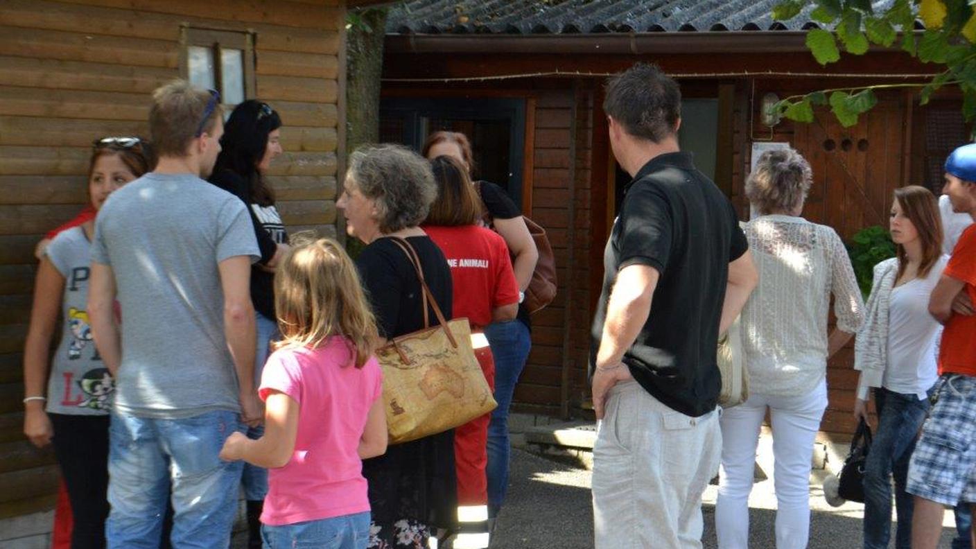 Grandi e piccini in visita al gattile