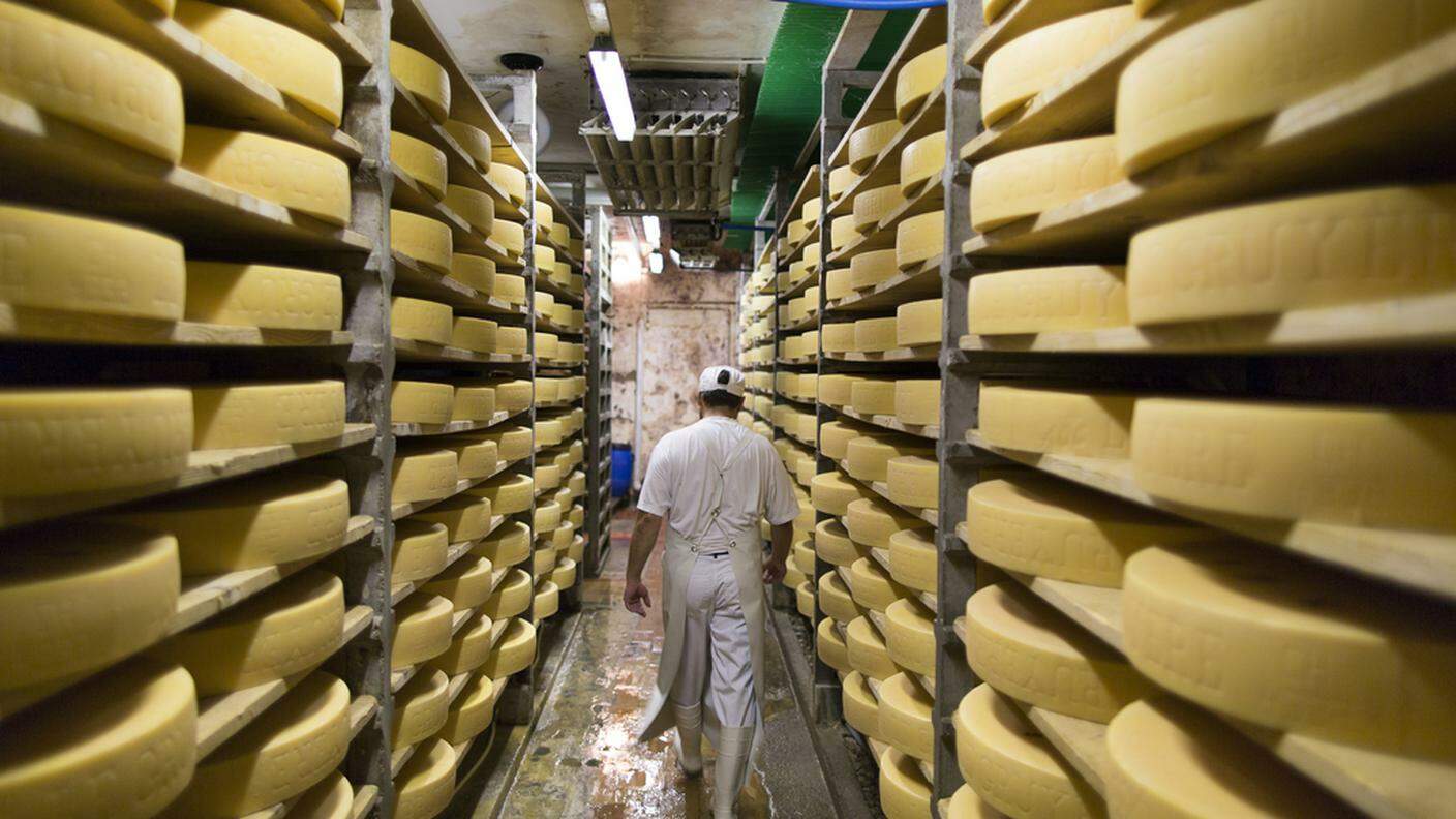 I consumatori russi amano il formaggio svizzero