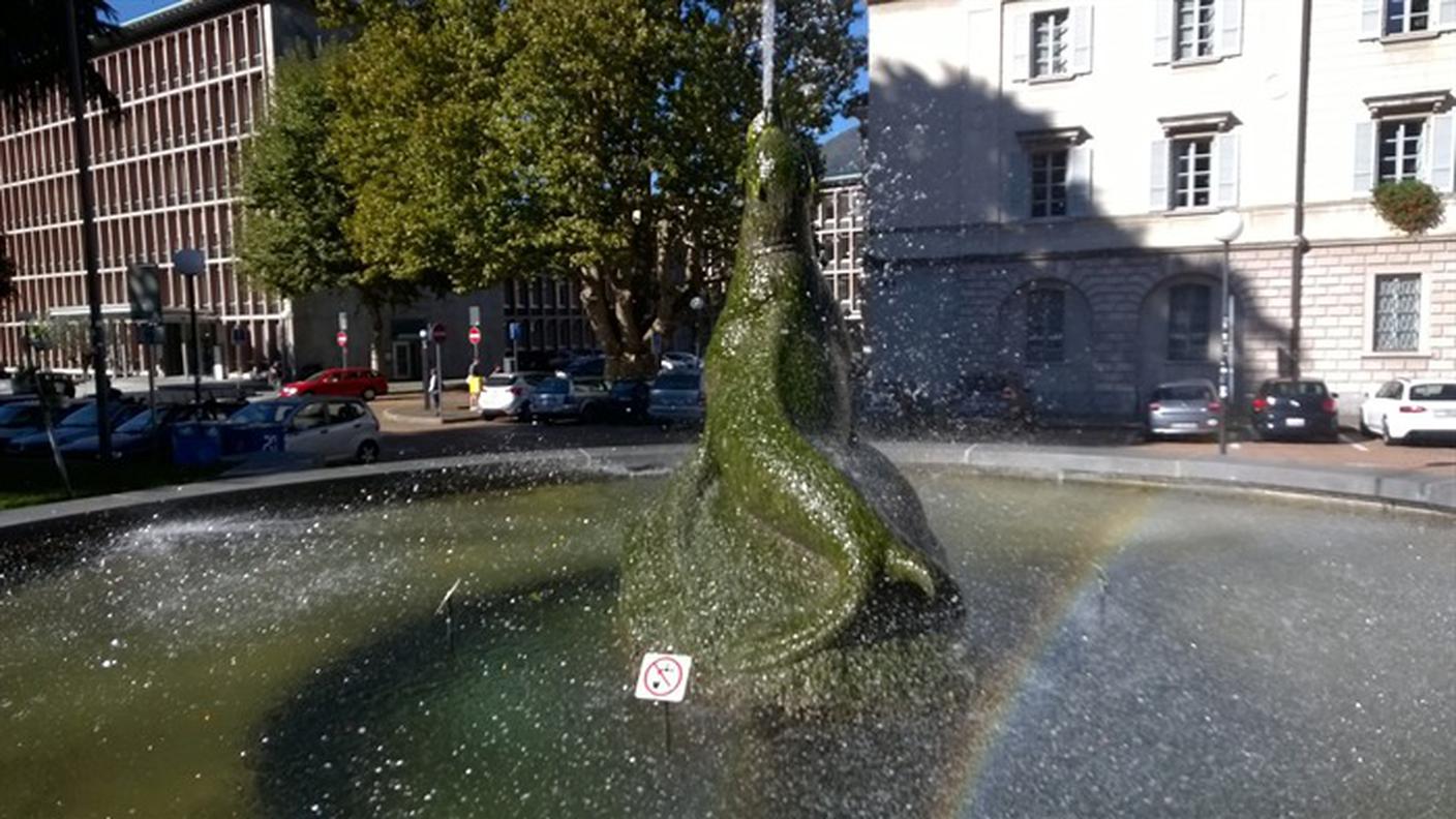 Restauro in vista, per la foca di Piazza Governo