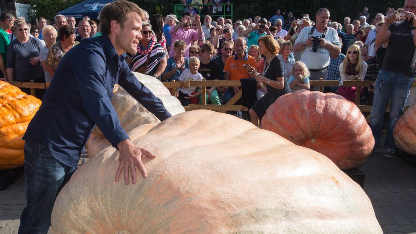 Questa è quella "piccola". Solo 951 kg