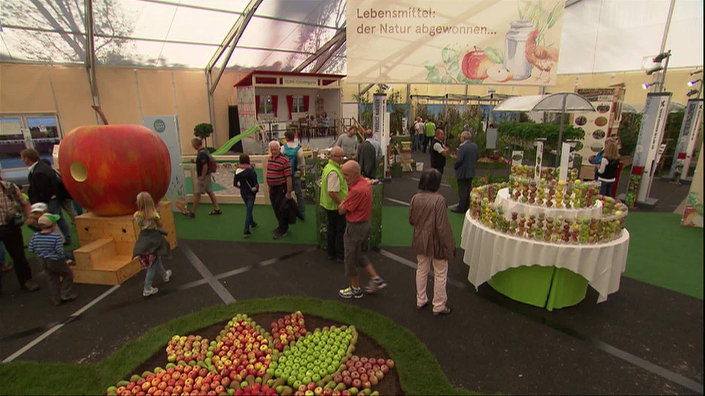 FIERA AGRICOLTURA.jpg