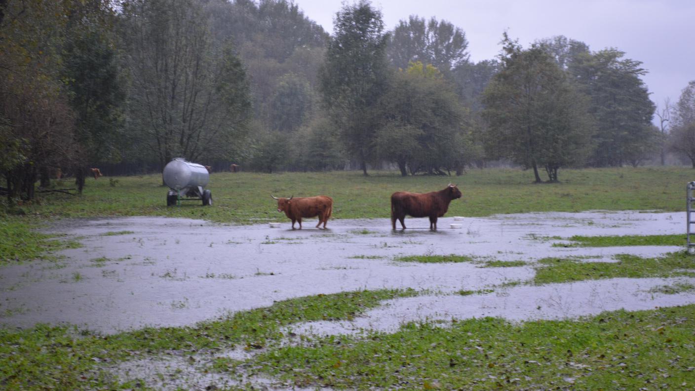 Maltempo in Ticino