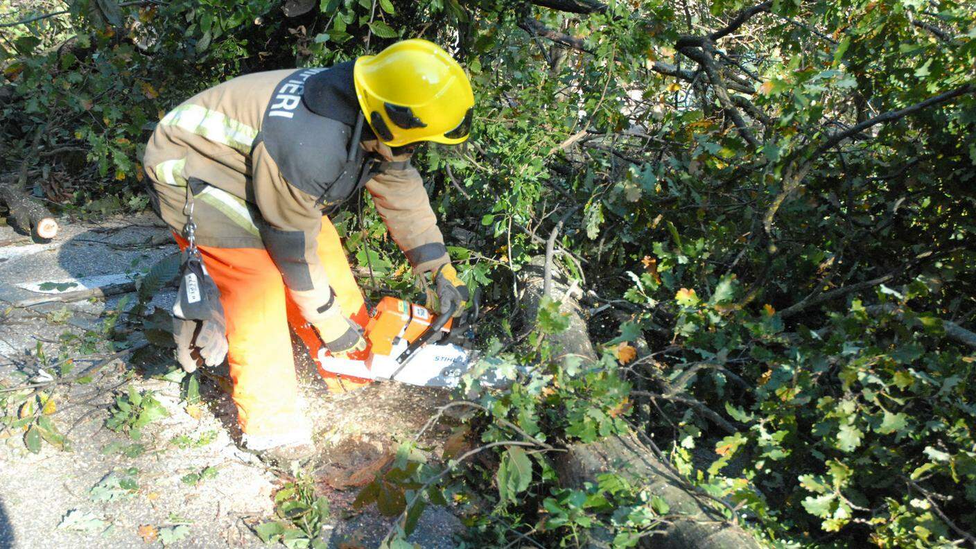 I pompieri tagliano un albero caduto a Bedigliora Rescue Media.jpg