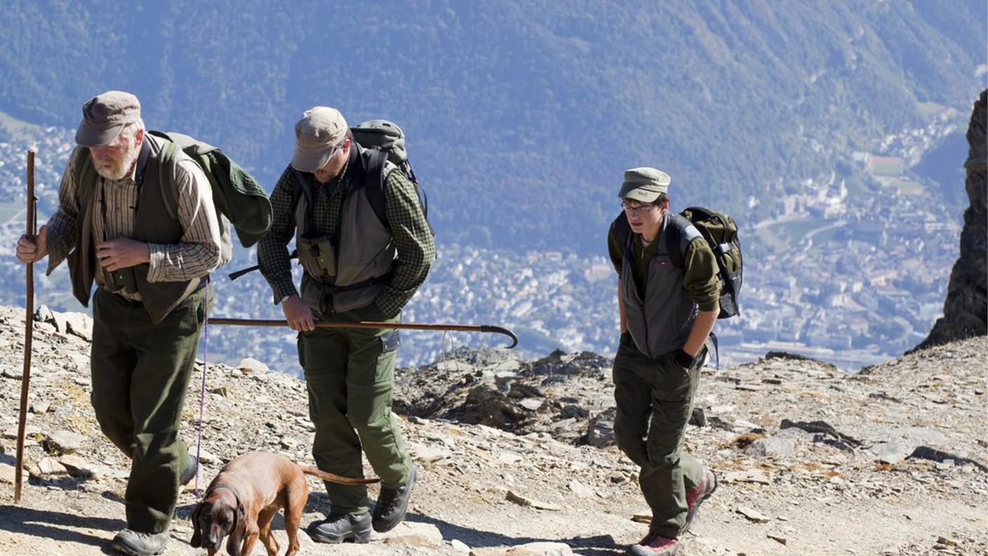 A parte la Bregaglia e il Calanda, altri cervi vanno eliminati