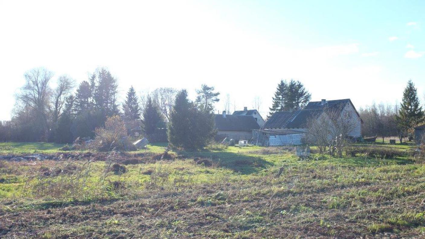 DSCF4738.jpg