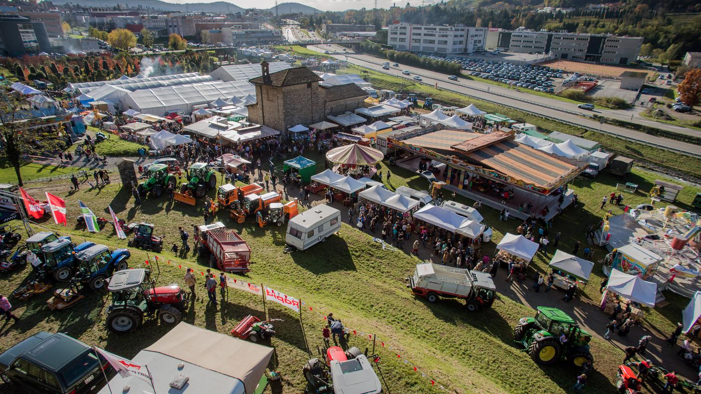 Fino a martedì 11 novembre a Mendrisio