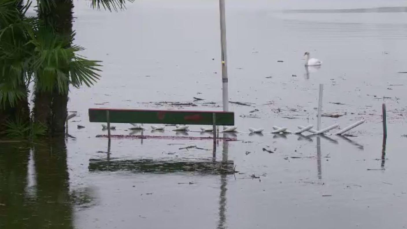 lago agno 11.11.2014.JPG