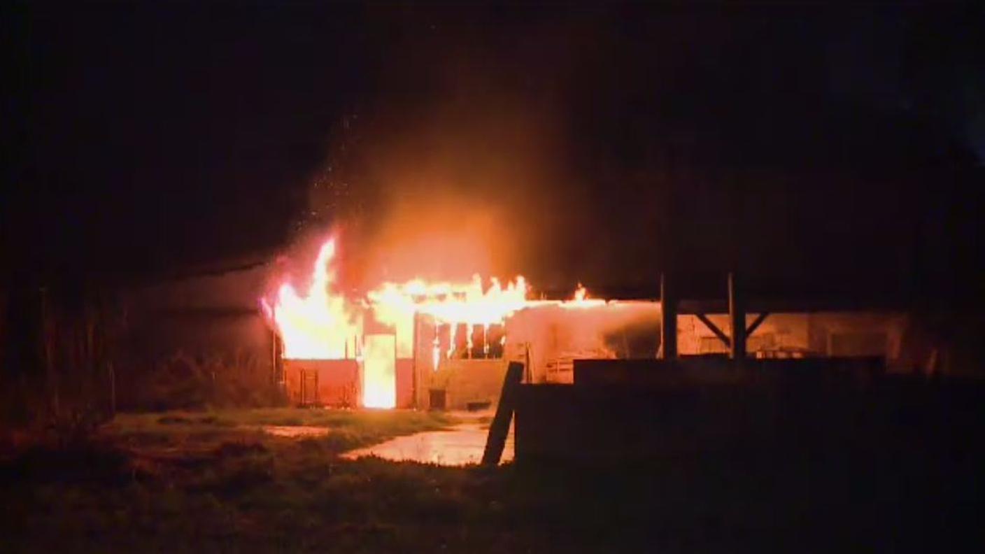 incendio gudo.JPG