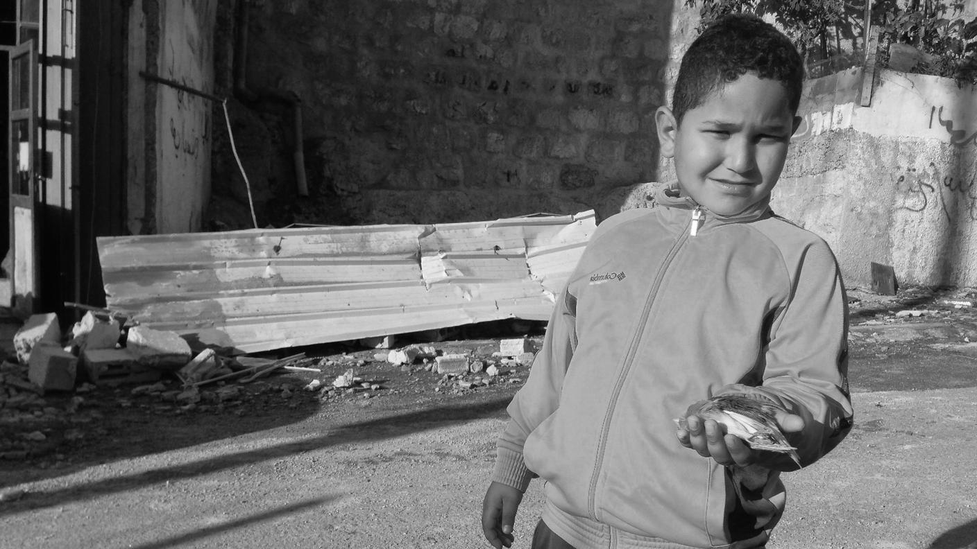 I canarini di Selam, morti per l'esplosione durante la demolizione di una casa palestinese