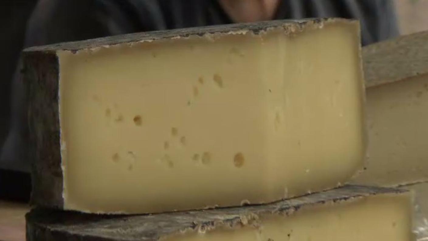 formaggi dell'alpe.JPG